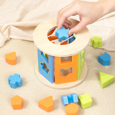EcoToys Cubo de Juego de Bloques de Madera | Desarrolla habilidades - Juguete educativo de madera